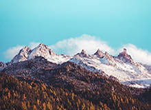 B体育中国官网-2021澳网公布男女单正赛名单 巴蒂德约分别领衔